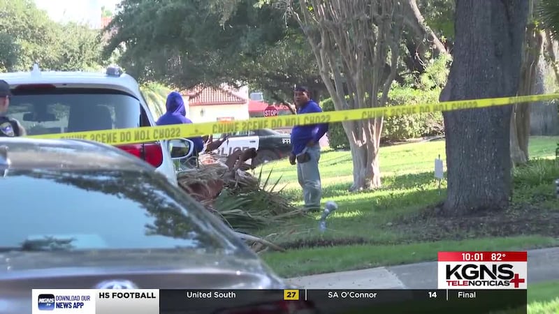 Hombre muere mientras realizaba trabajos de mantenimiento a una palmera al norte de Laredo