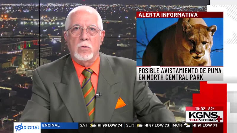 Reportan posible avistamiento de león montés en North Central Park