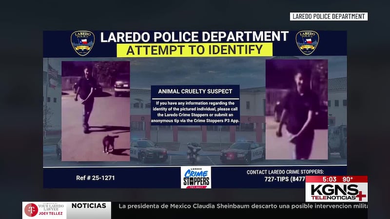 Buscan a sospechoso de crueldad animal