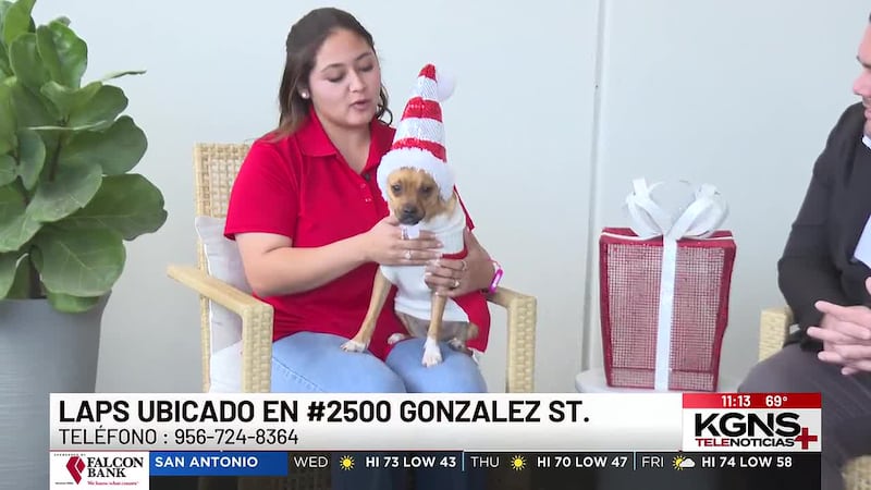 ¡Conoce a “Java” nuestra Mascota de la Semana!