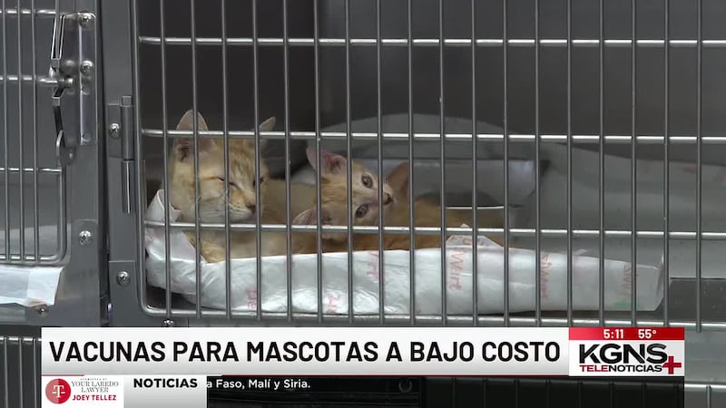 LACS realiza campaña de vacunación para mascotas