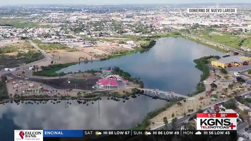 Reportan avistamiento de Cocodrilo en Nuevo Laredo